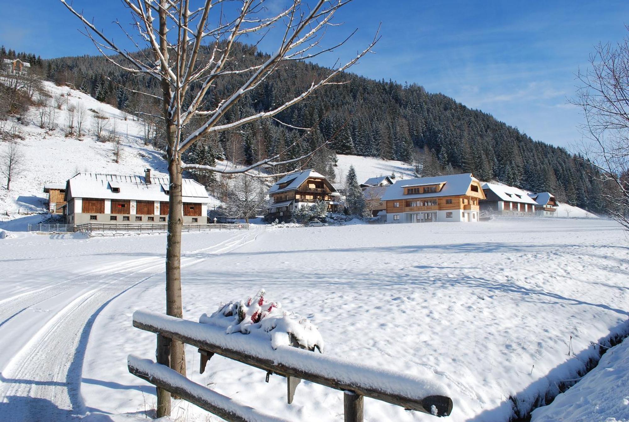 Biohof Seidl Apartment Bad Kleinkirchheim Ngoại thất bức ảnh