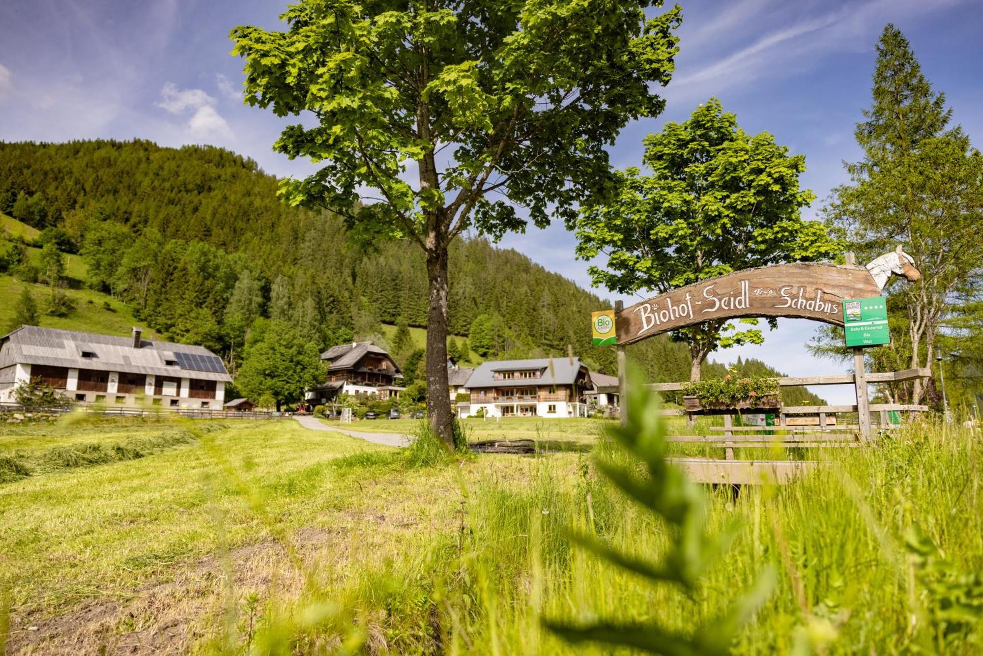 Biohof Seidl Apartment Bad Kleinkirchheim Ngoại thất bức ảnh