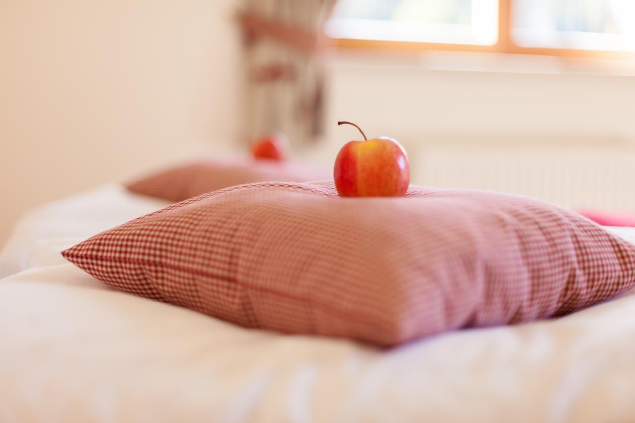 Biohof Seidl Apartment Bad Kleinkirchheim Ngoại thất bức ảnh