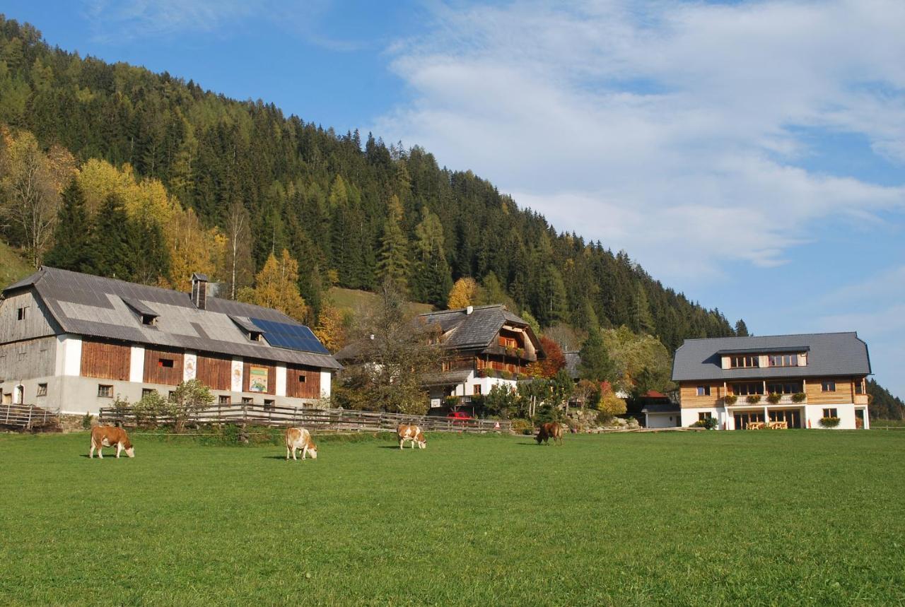 Biohof Seidl Apartment Bad Kleinkirchheim Ngoại thất bức ảnh